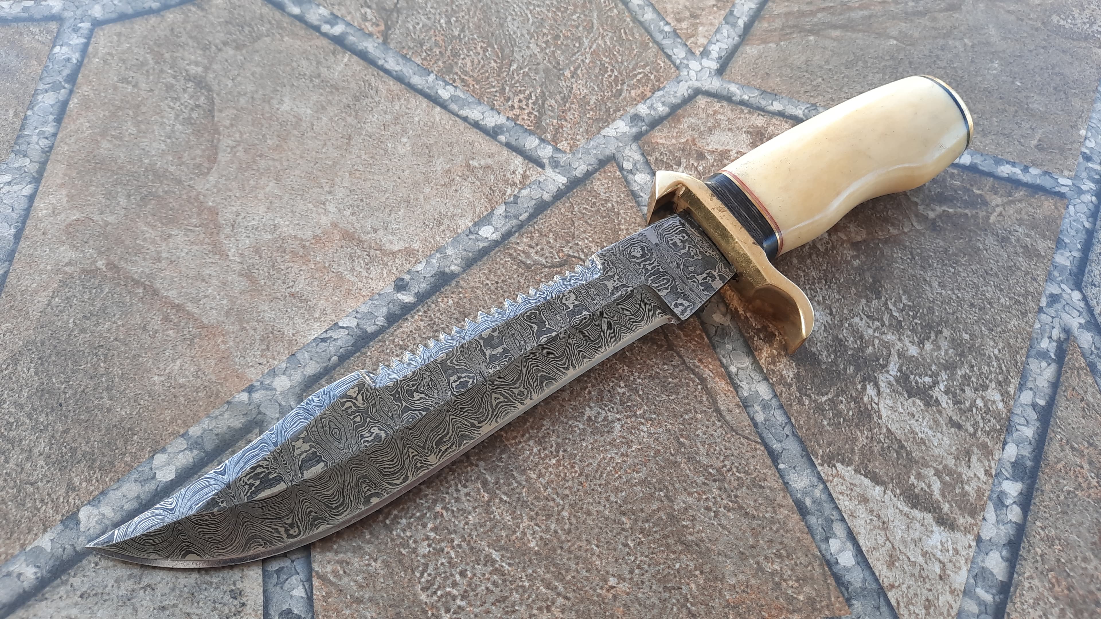 Damascus Bowie Knife - Camel Bone Handle
