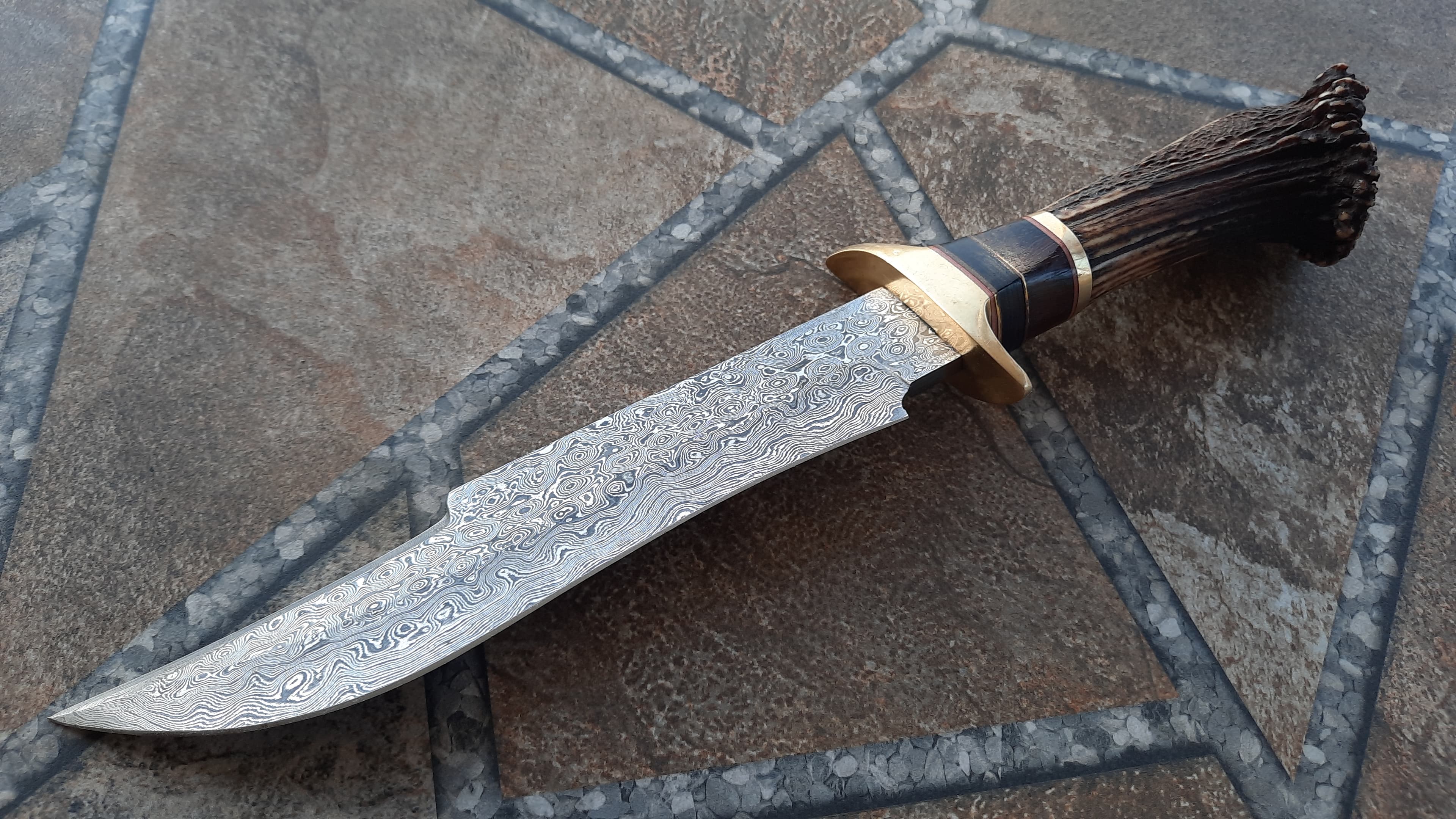 Damascus Bowie Knife - Crown Stag Horn Handle